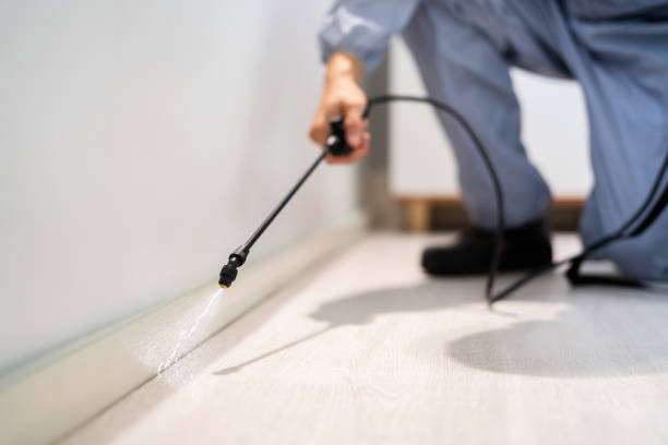 Licensed Mosquito Control service in Florence, OR - Show Me Pest Control