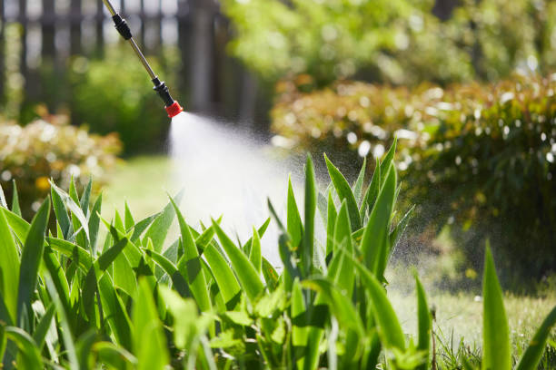 24/7 Emergency Mosquito Control experts in Florence, OR