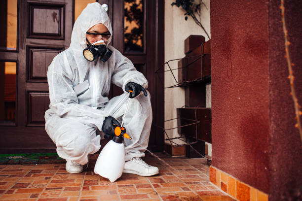 Reliable Mosquito Control contractor in Florence, OR by Show Me Pest Control